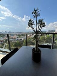 Parc Clematis (D5), Apartment #475030181